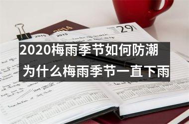 2025梅雨季节如何防潮 为什么梅雨季节一直下雨