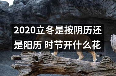 <h3>2025立冬是按阴历还是阳历 时节开什么花