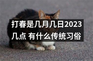 <h3>打春是几月几日2023几点 有什么传统习俗