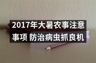 <h3>2017年大暑农事注意事项 防治病虫抓良机