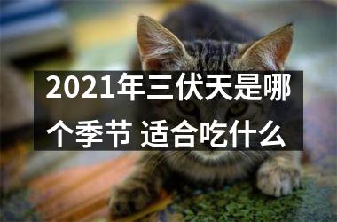 <h3>2025年三伏天是哪个季节 适合吃什么