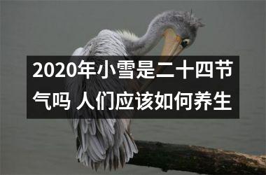 <h3>2025年小雪是二十四节气吗 人们应该如何养生