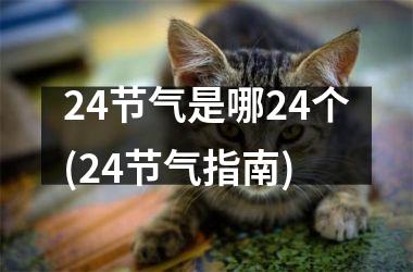 <h3>24节气是哪24个(24节气指南)