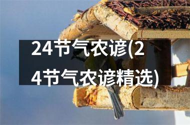 24节气农谚(24节气农谚精选)