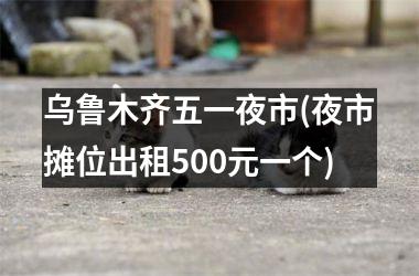 <h3>乌鲁木齐五一夜市(夜市摊位出租500元一个)