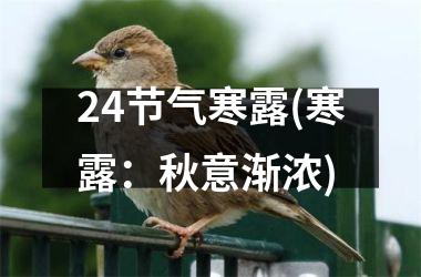24节气寒露(寒露：秋意渐浓)