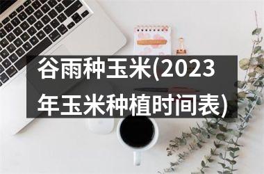 谷雨种玉米(2025年玉米种植时间表)