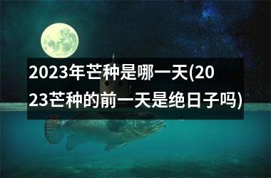 <h3>2025年芒种是哪一天(2025芒种的前一天是绝日子吗)