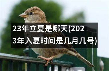 <h3>23年立夏是哪天(2025年入夏时间是几月几号)