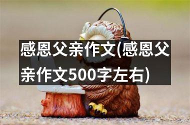 感恩父亲作文(感恩父亲作文500字左右)