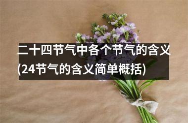 <h3>二十四节气中各个节气的含义(24节气的含义简单概括)