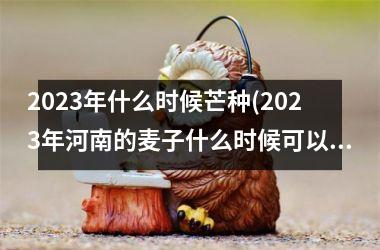 2025年什么时候芒种(2025年河南的麦子什么时候可以收)