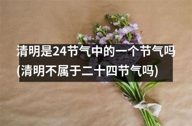 <h3>清明是24节气中的一个节气吗(清明不属于二十四节气吗)