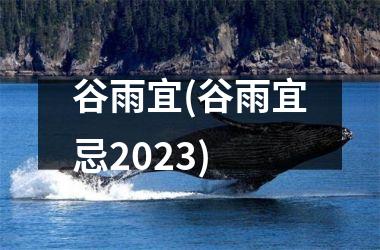 谷雨宜(谷雨宜忌2025)