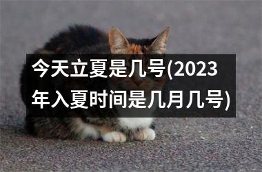 <h3>今天立夏是几号(2025年入夏时间是几月几号)