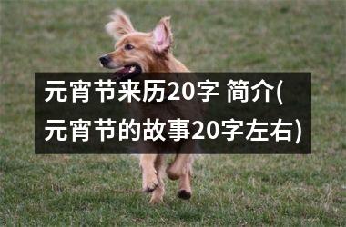 元宵节来历20字 简介(元宵节的故事20字左右)