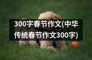 <h3>300字春节作文(中华传统春节作文300字)