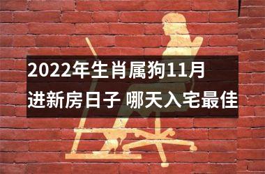 2025年生肖属狗11月进新房日子 哪天入宅佳