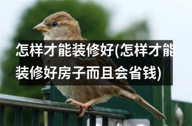 <h3>怎样才能装修好(怎样才能装修好房子而且会省钱)