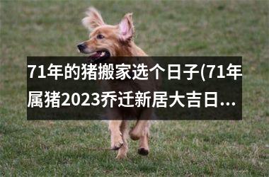 71年的猪搬家选个日子(71年属猪2025乔迁新居大吉日子)