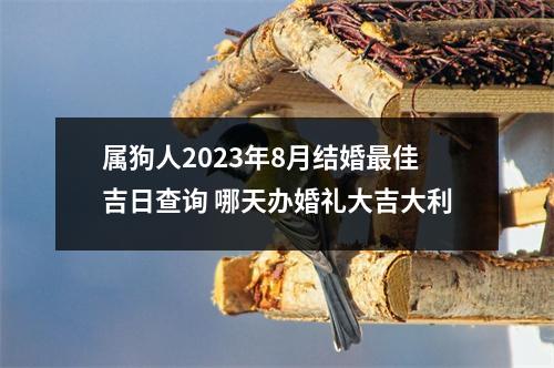 属狗人2025年8月结婚佳吉日查询哪天办婚礼大吉大利