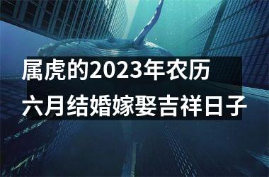 <h3>属虎的2025年农历六月结婚嫁娶吉祥日子