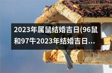 <h3>2025年属鼠结婚吉日(96鼠和97牛2025年结婚吉日)