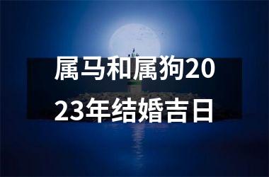 属马和属狗2023年结婚吉日