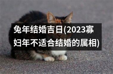 <h3>兔年结婚吉日(2025寡妇年不适合结婚的属相)