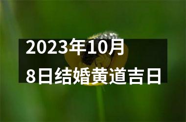 <h3>2025年10月8日结婚黄道吉日