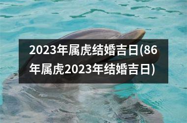 2025年属虎结婚吉日(86年属虎2025年结婚吉日)