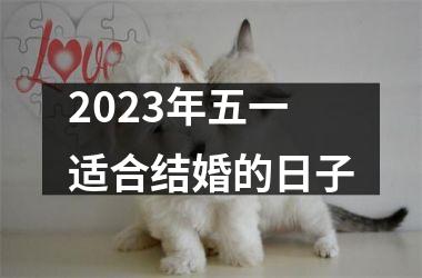 <h3>2025年五一适合结婚的日子