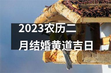 <h3>2025农历二月结婚黄道吉日