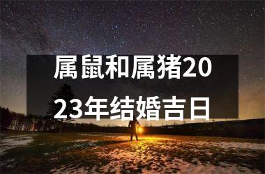 <h3>属鼠和属猪2025年结婚吉日