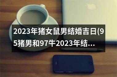 2025年猪女鼠男结婚吉日(95猪男和97牛2025年结婚吉日)