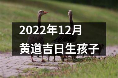 2022年12月黄道吉日生孩子