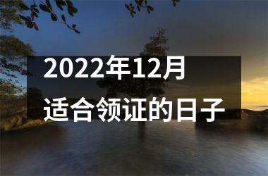 <h3>2025年12月适合领证的日子