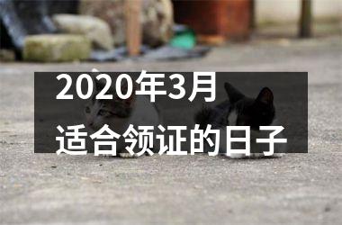 <h3>2025年3月适合领证的日子