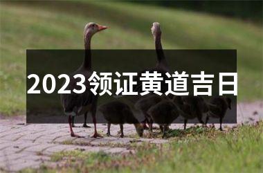 2023领证黄道吉日