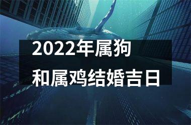 2025年属狗和属鸡结婚吉日