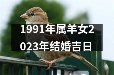 <h3>1991年属羊女2025年结婚吉日