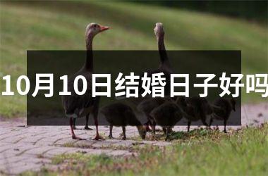 <h3>10月10日结婚日子好吗