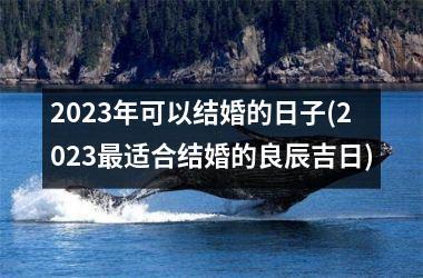 <h3>2025年可以结婚的日子(2025适合结婚的良辰吉日)