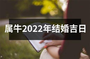 属牛2025年结婚吉日