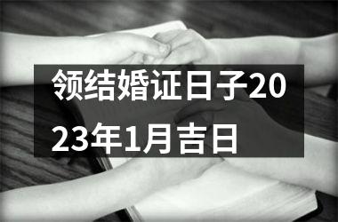 <h3>领结婚证日子2025年1月吉日