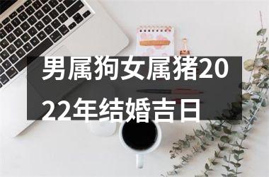 <h3>男属狗女属猪2025年结婚吉日