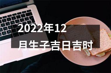 <h3>2025年12月生子吉日吉时