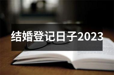 <h3>结婚登记日子2025