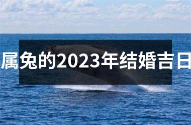 属兔的2025年结婚吉日