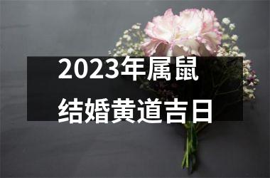 2023年属鼠结婚黄道吉日